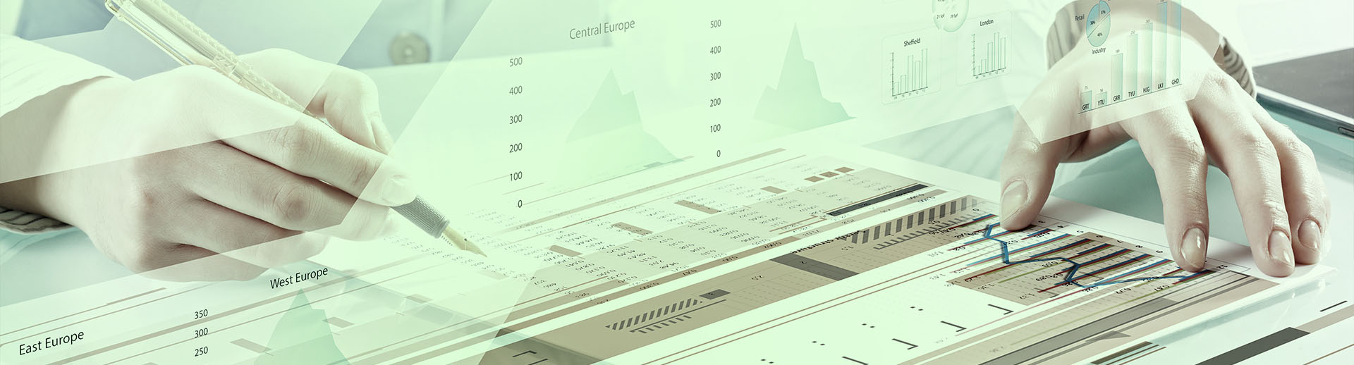 Cabinet de conseil pilotage de programmes d'animation terrain 